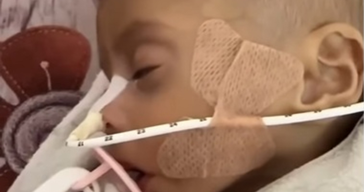 gaza zainab abu halib morta a 5 mesi per malnutrizione pesava 2 kg invece di 5