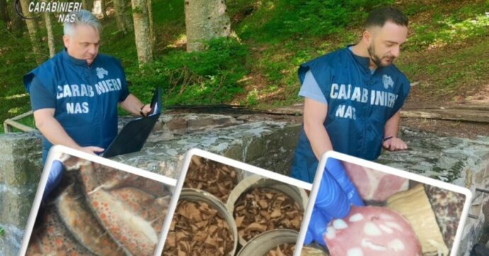 Carne scaduta da 20 anni, escrementi di topo e conserve a rischio botulino: 700 kg di cibo sequestrati nei rifugi emiliani