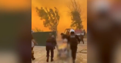 Copertina di Incendi in Grecia, evacuate le abitazioni delle località a nord di Atene