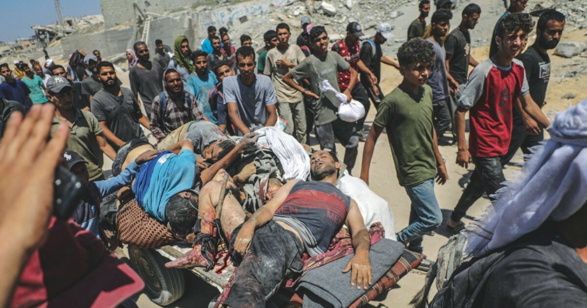 bisogna riconoscere pubblicamente il genocidio a gaza la lettera su lancet