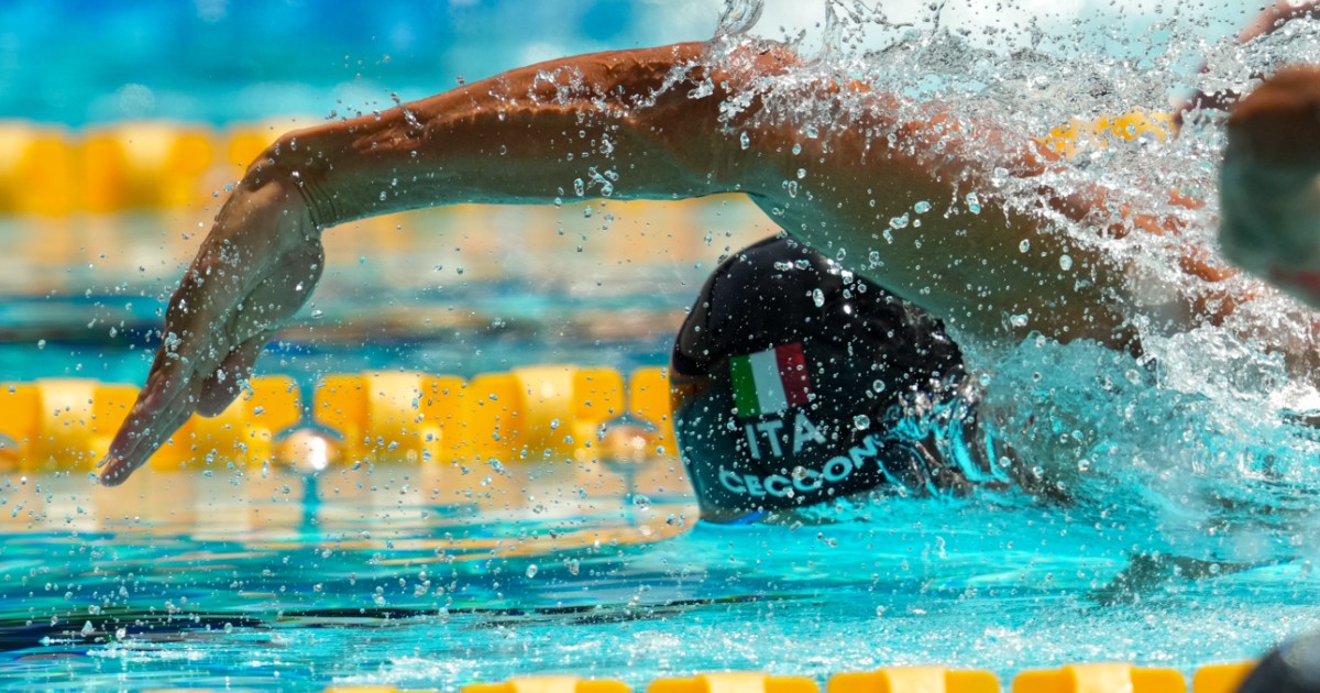 mondiali di nuoto l8217italia 232 argento nella 4215100 stile libero maschile
