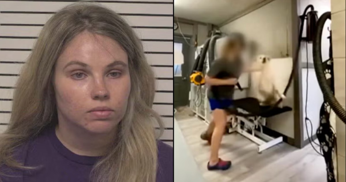 Pugni, schiaffi e calci ai cani che doveva toelettare: 28enne dipendente di 28 anni di una “Spa per animali” incastrata dai video “inquietanti” girati di nascosto da una collega Pugni, schiaffi e calci ai cani che doveva toelettare: 28enne dipendente di 28 anni di una “Spa per animali” incastrata dai video “inquietanti” girati di nascosto da una collega