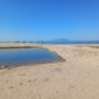 Copertina di La foce del lago Patria chiusa con una diga di sabbia: “Così si salvano i lidi ma muore l’ecosistema”
