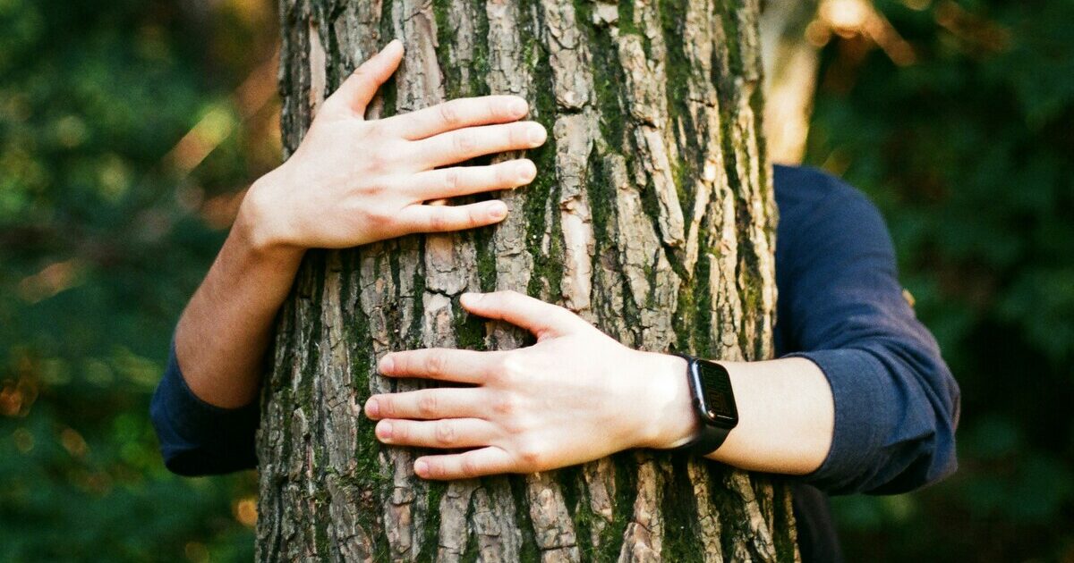 guardo annuso ascolto e tocco la natura migliora la salute gli studi scientifici che lo dimostrano
