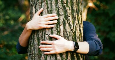 Copertina di Guardo, annuso, ascolto e tocco: la Natura migliora la salute. Gli studi scientifici che lo dimostrano