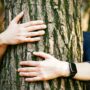 Copertina di Guardo, annuso, ascolto e tocco: la Natura migliora la salute. Gli studi scientifici che lo dimostrano