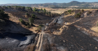 Incendi in Sardegna, le immagini dal drone dopo la devastazione nel Sassarese