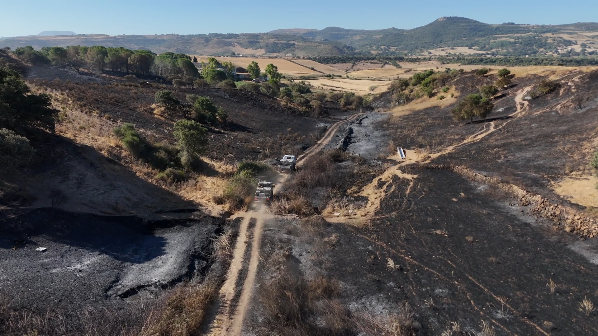 Incendi in Sardegna, le immagini dal drone dopo la devastazione nel Sassarese – Video Incendi in Sardegna, le immagini dal drone dopo la devastazione nel Sassarese – Video