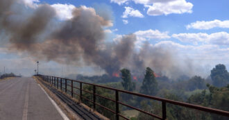 Copertina di Incendio vicino all’aeroporto di Catania: sospesi tutti i voli. Il fumo invade la tangenziale – Video
