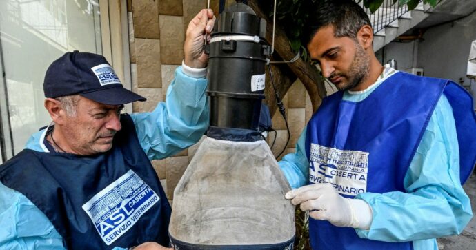 West Nile, 7 morti e paura. Ora il Lazio corre ai ripari