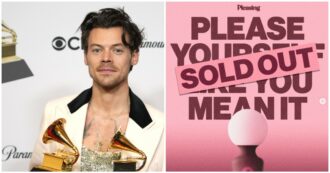 Ho la sensazione che la curiosità per i sex toys di Harry Styles si sgonfierà come un soufflé