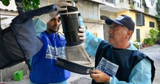 L’80% dei contagi di West Nile in Europa registrati in Italia, l’Ecdc: “I casi aumenteranno”