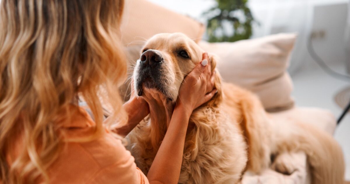 mia sorella 232 una scroccona per prendersi l8217eredit224 di mia zia si 232 occupata del suo cane quei soldi erano destinati a me scatta la faida in famiglia