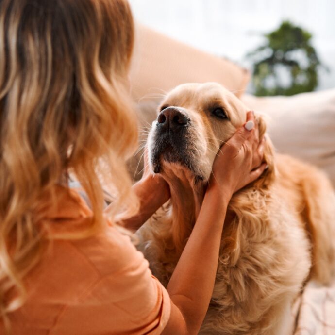 “Sono malata e il mio cane mi ha salvato otto volte, ma mio marito e i miei figli sono gelosi del nostro rapporto”: lo sfogo di una donna su Reddit