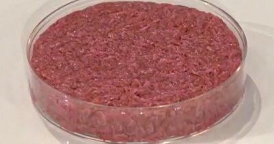 Copertina di Hamburger coltivati in laboratorio, etici e indistinguibili da quelli tradizionali? Lo studio del Politecnico di Zurigo