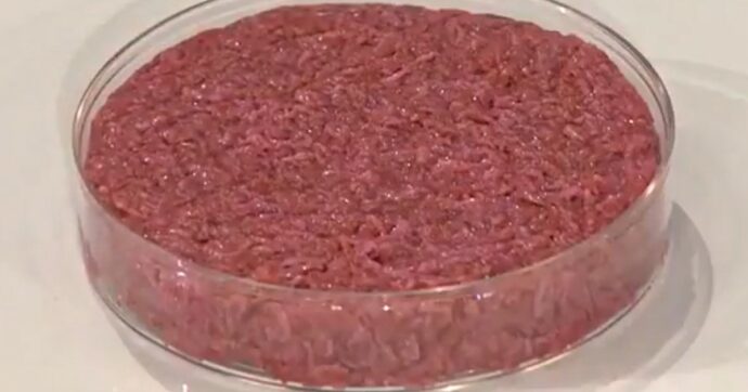 Hamburger coltivati in laboratorio, etici e indistinguibili da quelli tradizionali? Lo studio del Politecnico di Zurigo