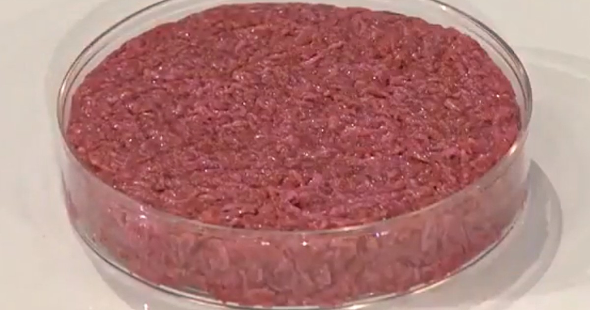 Hamburger coltivati in laboratorio, etici e indistinguibili da quelli tradizionali? Lo studio del Politecnico di Zurigo Hamburger coltivati in laboratorio, etici e indistinguibili da quelli tradizionali? Lo studio del Politecnico di Zurigo