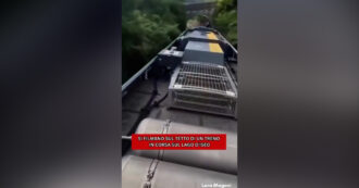 Copertina di La nuova sfida social che spaventa: salgono sul tetto del treno per un video “adrenalinico”. Indagini della Polfer