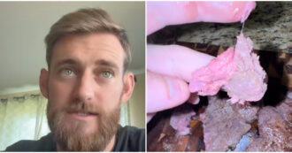 Copertina di “Ho trovato una sostanza strana sulla mia fetta di carne. Era chewing gum. Qualcuno mi deve dare delle spiegazioni”: lo choc di Jordan Colleary – VIDEO