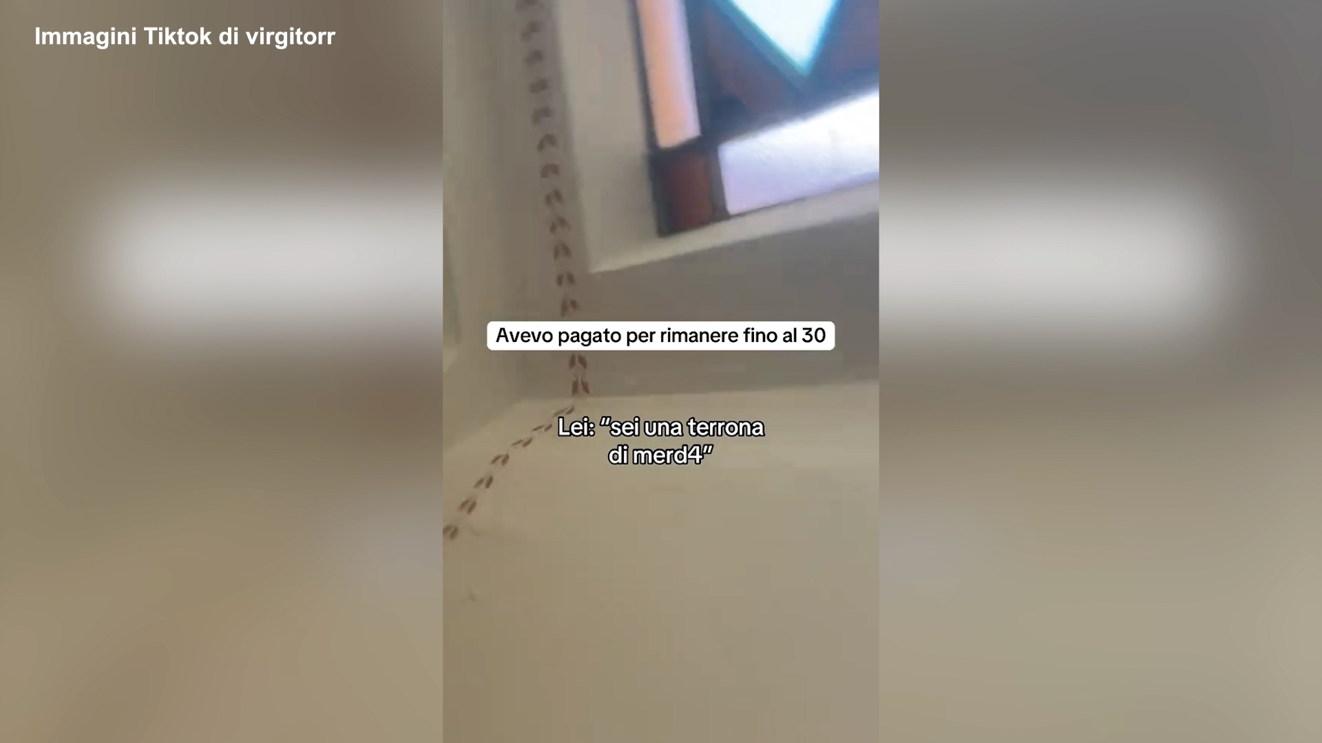 Ragazza fuori sede cacciata di casa: “Sei una terrona di me**a”. La video denuncia dell’Udu: “Inaccettabile”