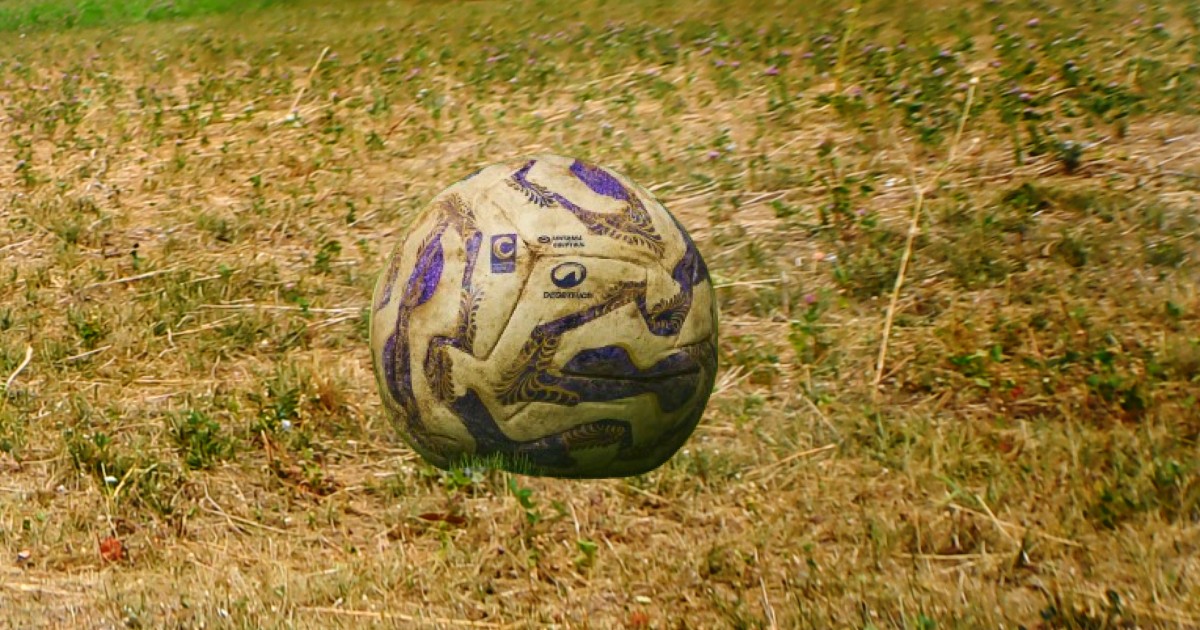 serie c anno nuovo e vecchi problemi 3 al foggia deferite triestina e rimini la stagione inizia gi224 tra penalizzazioni e fantasmi