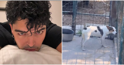 Copertina di “Se penso a come si spaventava anche solo per l’acqua mi sale il nervoso”: Stash dei The Kolors salva un cagnolino abbandonato tra gli escrementi – IL VIDEO