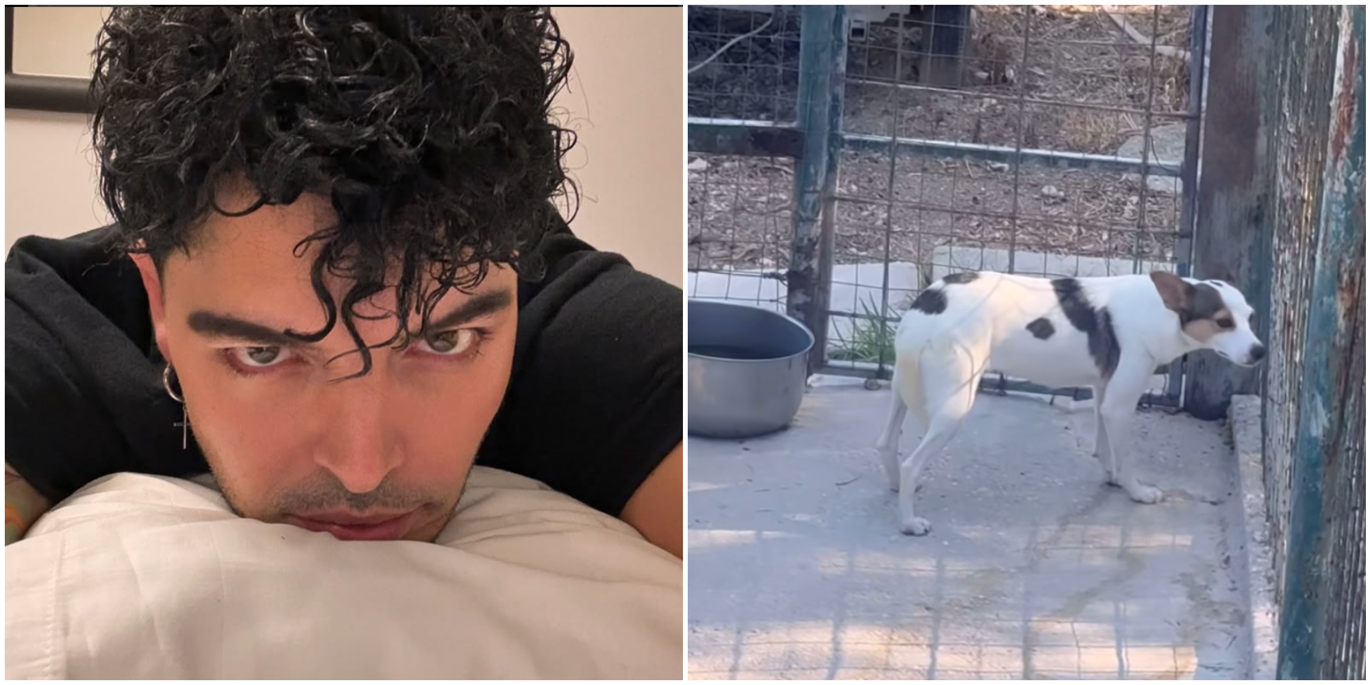 se penso a come si spaventava anche solo per l8217acqua mi sale il nervoso stash dei the kolors salva un cagnolino abbandonato tra gli escrementi 8211 il video