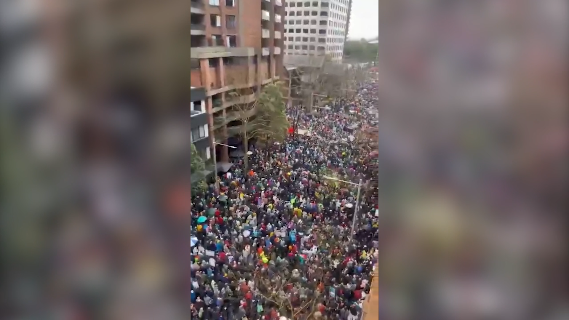 Il corteo per Gaza è infinito, centinaia di migliaia di persone invadono l’Harbour Bridge a Sidney – Video Il corteo per Gaza è infinito, centinaia di migliaia di persone invadono l’Harbour Bridge a Sidney – Video
