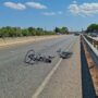 Copertina di Ciclisti travolti da un’auto nel Barese: tre morti sul colpo, uno è gravemente ferito