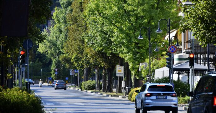 Gli alberi sono dei condizionatori d’aria naturali. Il futuro delle città dipende da loro