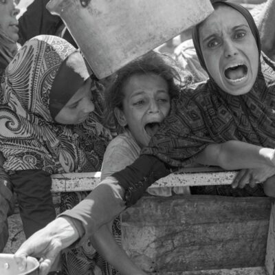 Copertina di La Palestina non ha bisogno di parole