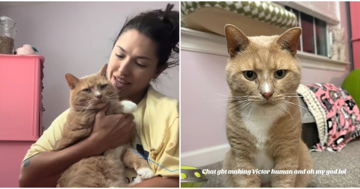 tra me e il mio gatto c8217232 un legame invisibile faceva parte della nostra casa prima ancora che ce ne rendessimo conto una donna racconta la speciale adozione