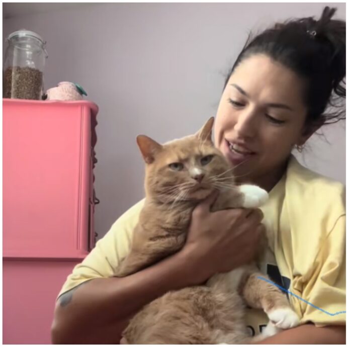 “Tra me e il mio gatto c’è un legame invisibile. Faceva parte della nostra casa prima ancora che ce ne rendessimo conto”: una donna racconta la speciale adozione