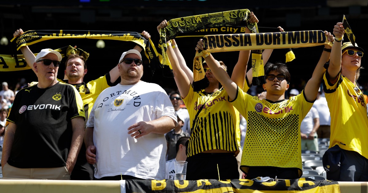 il borussia dortmund contro l8217estrema destra di afd non toccate i nostri colori il partito costretto a far sparire i volantini
