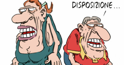 Copertina di La vignetta di Franzaroli
