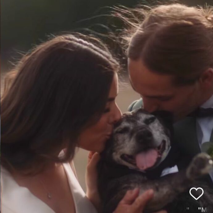 “Era il centro del nostro universo, in questi 19 anni ha toccato la vita di tutti”: celebrano l’addio al cane nel giorno del loro matrimonio. E il videomaker si commuove