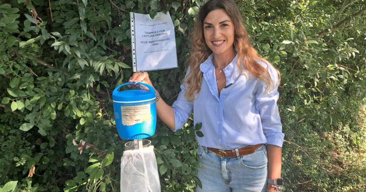 west nile trappole per zanzare che simulano l8217espirazione per monitorare il virus sesta vittima nel lazio