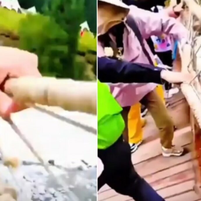 Il ponte sospeso cede: 5 morti e oltre 20 feriti. Turisti aggrappati per non precipitare nel vuoto – VIDEO