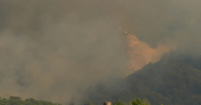 Copertina di Vesuvio in fiamme: fronte di 3 chilometri e 500 ettari in fumo. Canadair ed elicotteri in volo per domare il rogo – Video