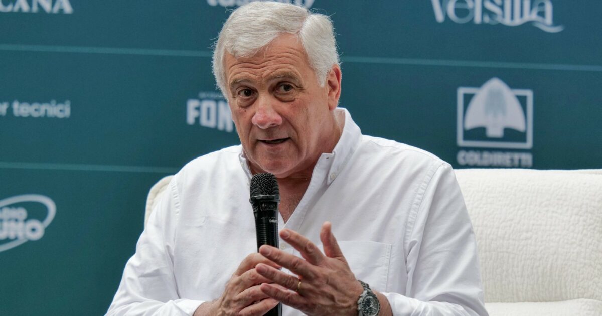 Tajani: “Altri 26 italiani che erano a bordo della Flotilla stanno per rientrare in Italia”