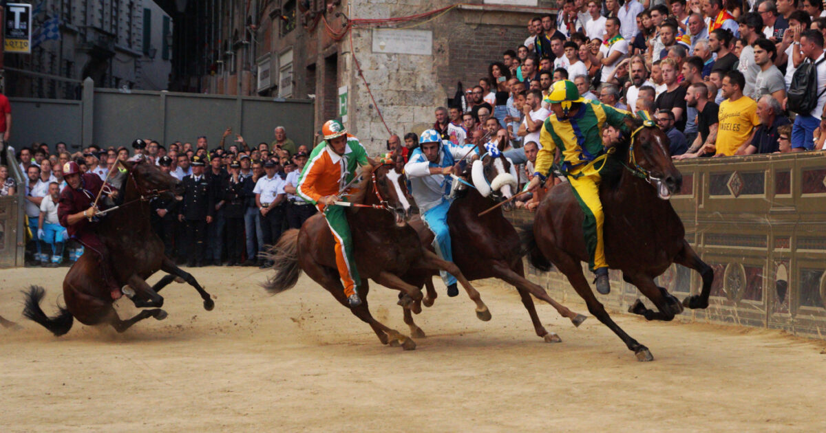 maltrattamento animali approvata la legge la lav sul palio di siena 43 cavalli uccisi le tv non lo trasmettano