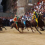 Copertina di Maltrattamento animali, approvata la legge. La Lav sul Palio di Siena: “43 cavalli uccisi, le tv non lo trasmettano”