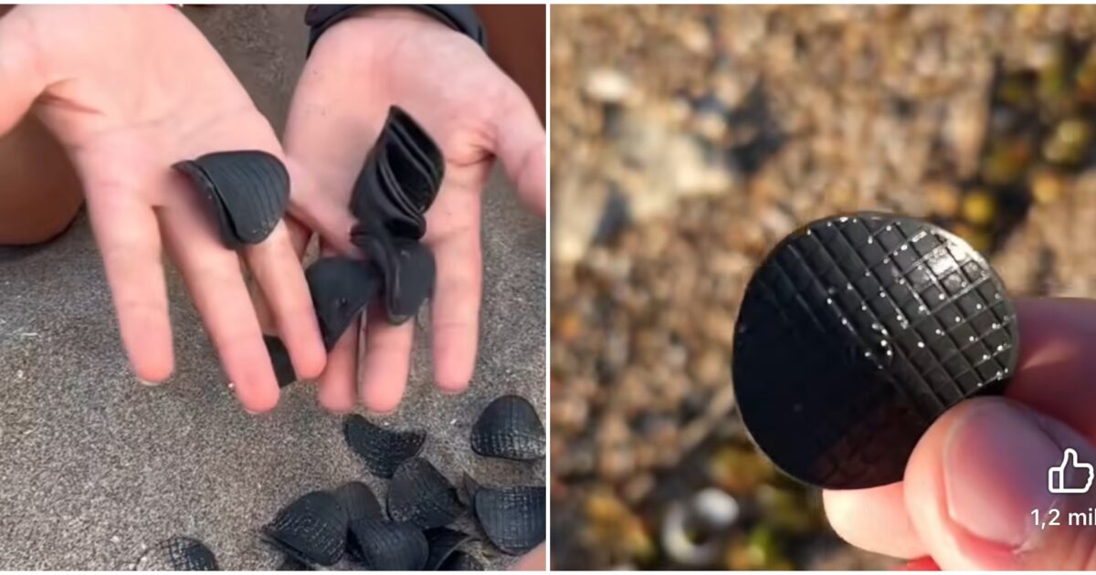 se li trovate raccoglieteli e spediteli a noi misteriosi dischetti neri invadono le spiagge l8217appello dei ricercatori dell8217universit224 bicocca sui social