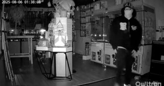 Copertina di Rubano Labubu da un negozio: il furto da migliaia di dollari ripreso dalla videosorveglianza