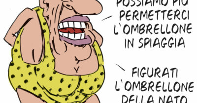 Copertina di La vignetta di Franzaroli