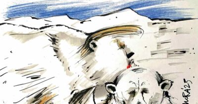 Copertina di La vignetta di Mora