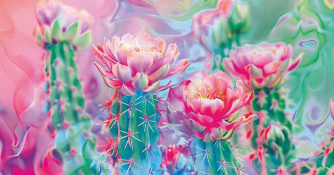 Scrittori sedotti dalla mescalina: “L’assoluto spalanca le sue porte”