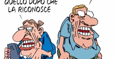 Copertina di La vignetta di Franzaroli