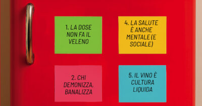 Copertina di “Il vino fa male? Non bere non ti rende più sano. Non esiste rischio zero, nemmeno per gli astemi”: il libro di Casadio e Grandi che sfida i luoghi comuni sull’alcol