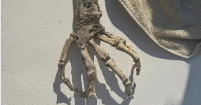 Copertina di “C’è un cimitero di resti umani, è pieno di scheletri”: la scoperta choc nei fondali di Lipari, poi la scoperta. Ecco cosa c’entra Christopher Nolan